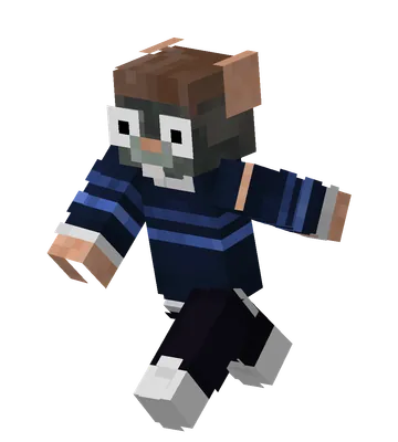 Minecraft-Skin von Faister